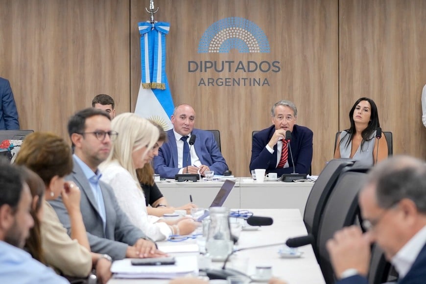 Diputados Nacion | Nicolás Mayoraz