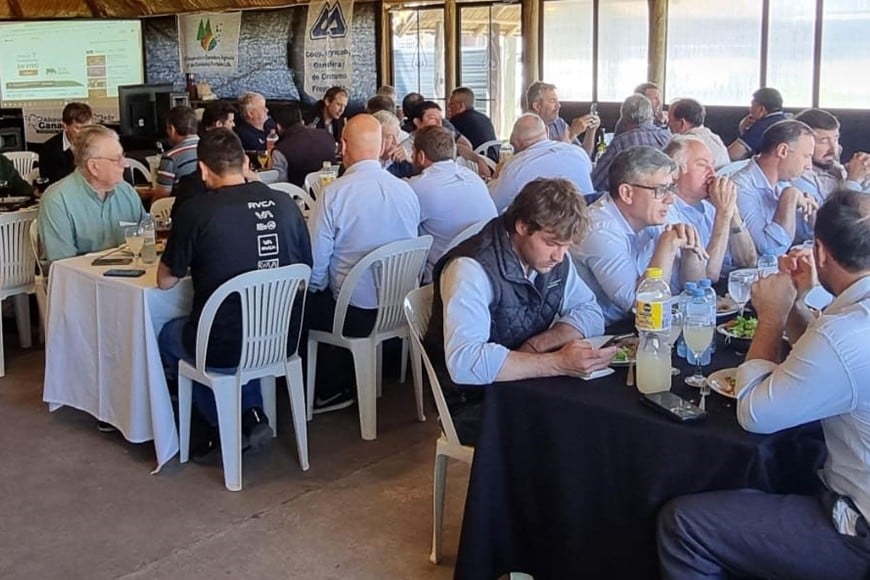 Alianza Ganadera, no es solo un acuerdo comercial; es la cristalización del sexto principio cooperativo: la ayuda mutua para generar desarrollo a escala.