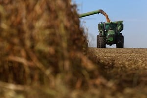 SOJA Soybeans are harvested from a field in Pergamino, on the outskirts of Buenos Aires, Argentina, May 15, 2024. REUTERS/Matias Baglietto