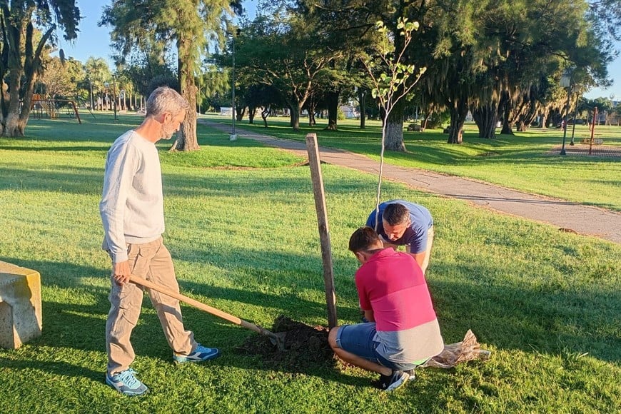 La plantación también tiene un fuerte componente educativo, ya que promueve desde edades tempranas la conciencia ambiental y el respeto por la naturaleza.