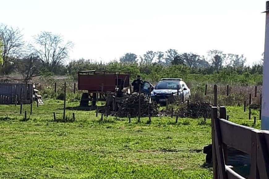 Diego Román crimen ataque jauria perros Recreo