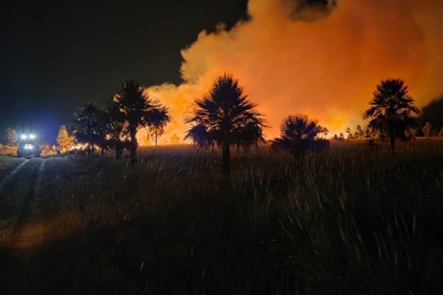 Foto: @ParquesOficial