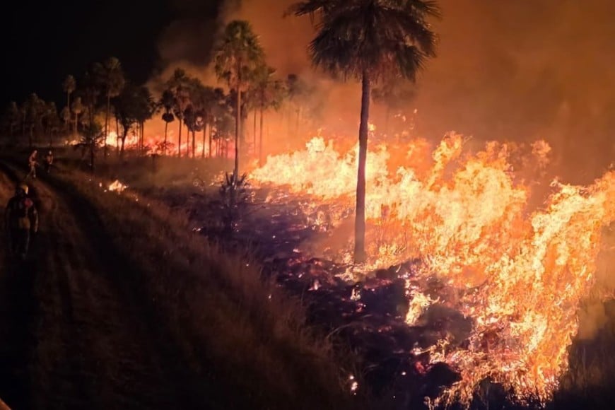 Foto: @ParquesOficial