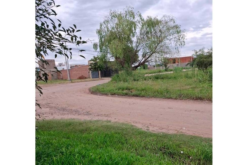 Vecinos preocupados por la falta de mantenimiento en la vía pública.