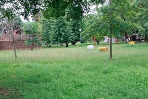 "Desde diciembre no cortan los yuyos", asegura un vecino de la zona.