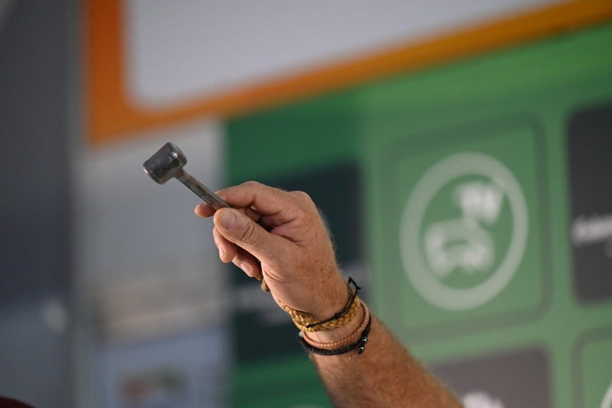 Arranca la edición N° 20 de la muestra