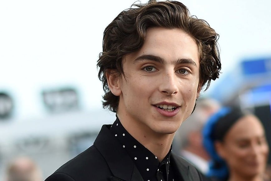 Timothée Chalamet