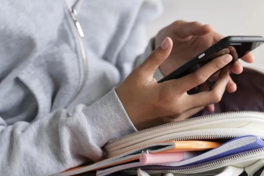 Con este programa provincial, el gobierno santafesino busca ordenar el uso de dispositivos en las aulas, formar a docentes y prevenir riesgos en redes.