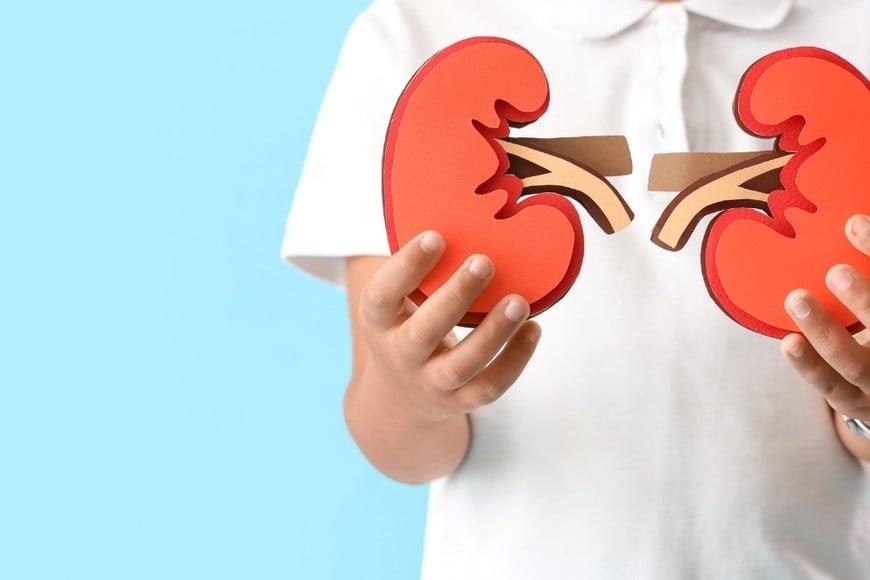 La enfermedad renal crónica afecta a una proporción significativa de la población adulta