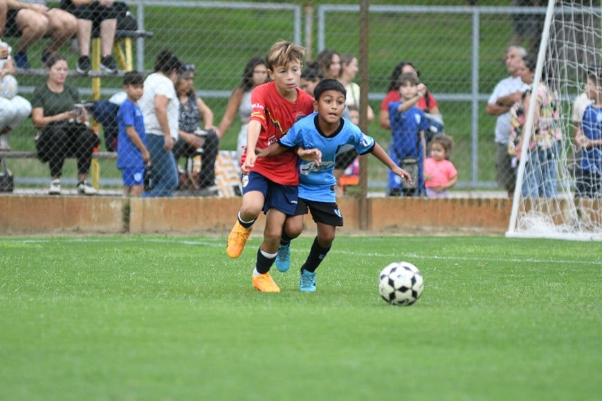 Ateneo y Universidad. Foto: Manuel Fabatía.