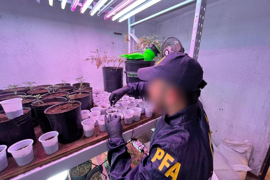 La investigación comenzó por iniciativa del MPA. Foto: PFA