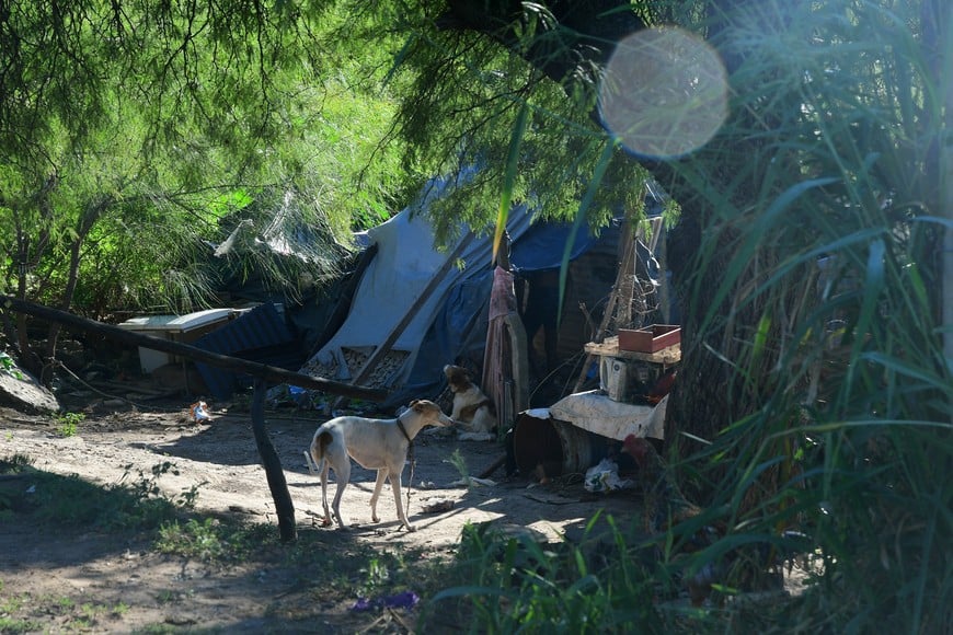 Los ocupantes del bañado. Flavio Raina.