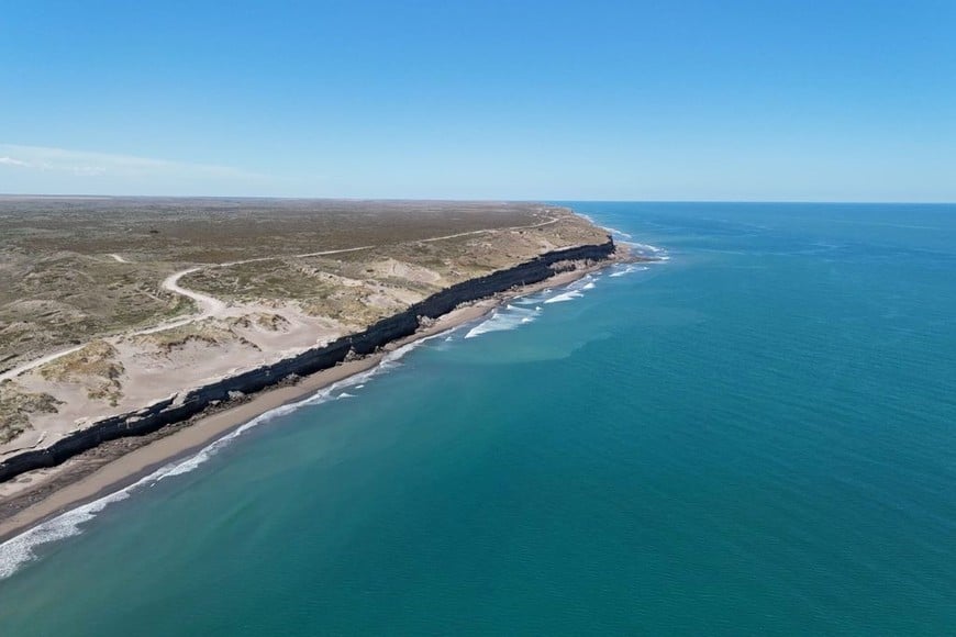 El avistamiento fue registrado con un drone en aguas del Golfo San Matías, frente a la costa rionegrina.