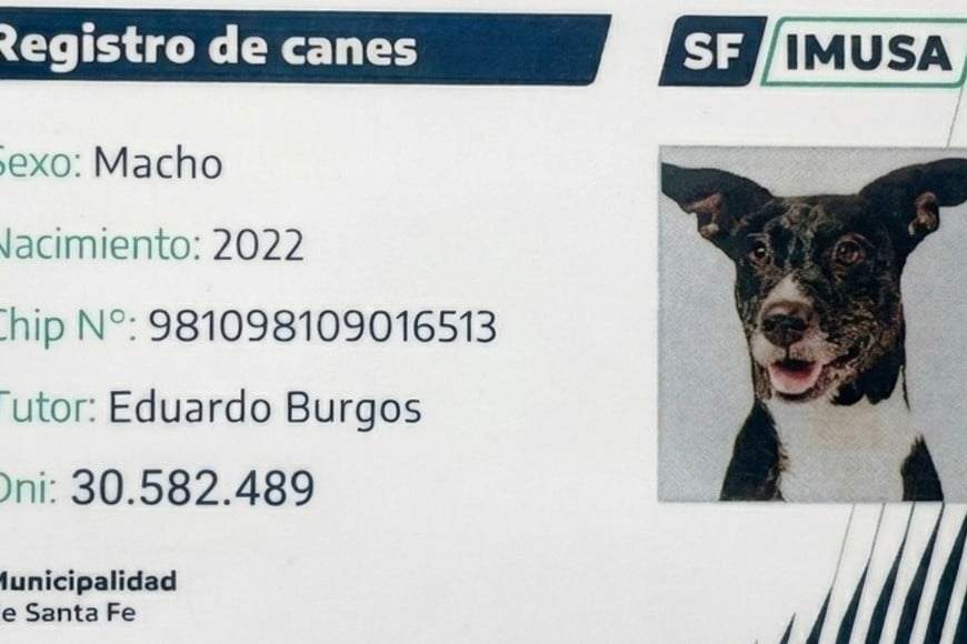 La Municipalidad presentó el programa Huellas para fomentar la tenencia responsable de mascotas.