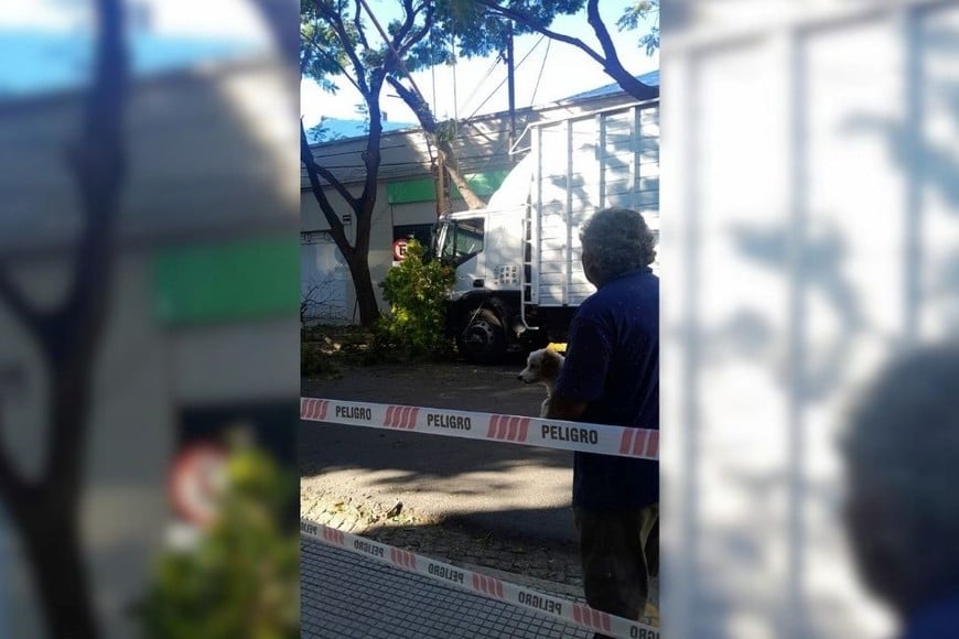 camión chocó rama en zona céntrica