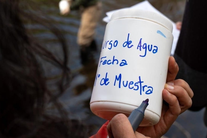 Se recolectaron muestras de tejido de distintas especies de peces halladas en el lugar para su posterior análisis.