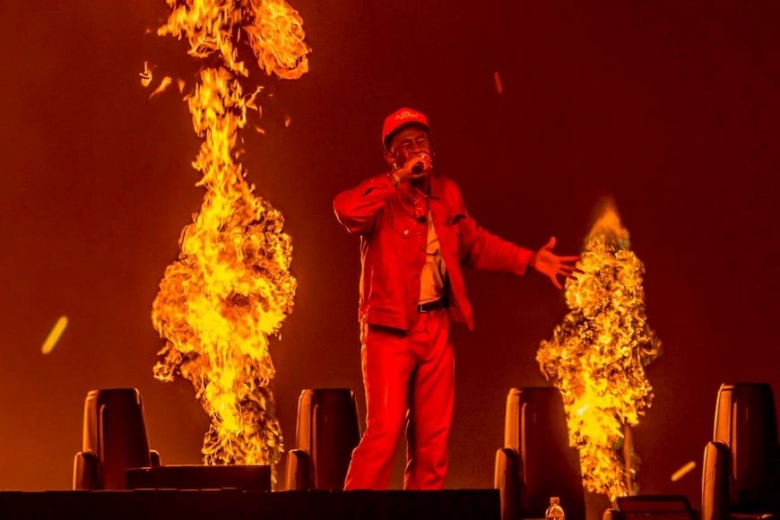 Tyler the Creaton por Sofía Cozzo.