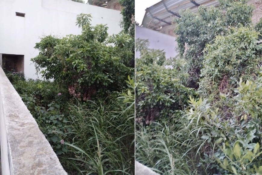 Así está hoy. El inmueble se ubica en calle Mariano Comas 2982. Crédito: Gentileza