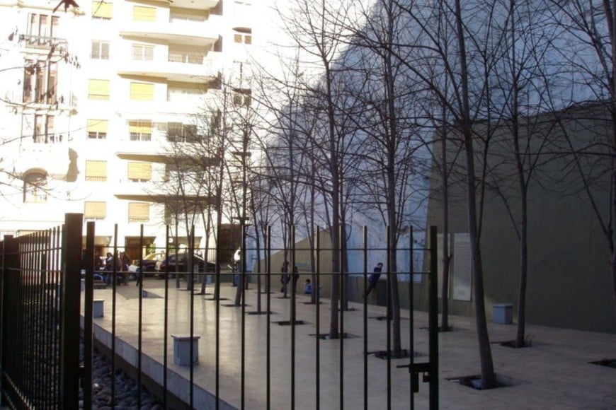 Árboles de tilo en la Plaza Embajada de Israel, Buenos Aires, Argentina. Plantados en memoria de cada una de las víctimas del atentado terrorista en dicha embajada.