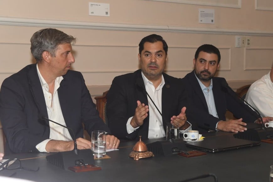 Foto: Carolina Nicklison