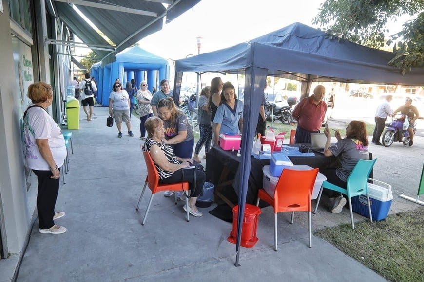 Foto: Matías Pintos