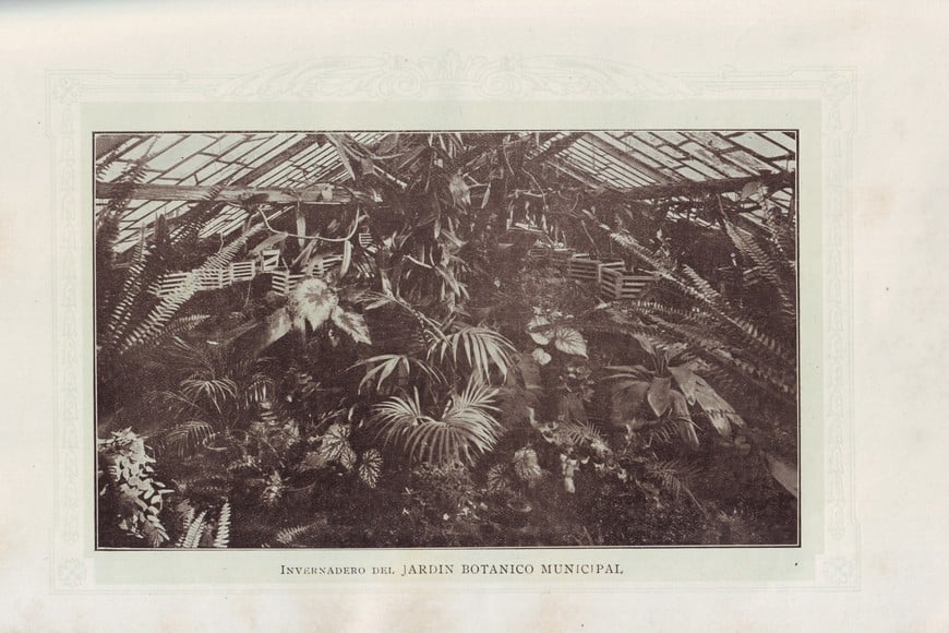 Antigua fotografía del lugar (1915). Gentileza Adriana Collado.