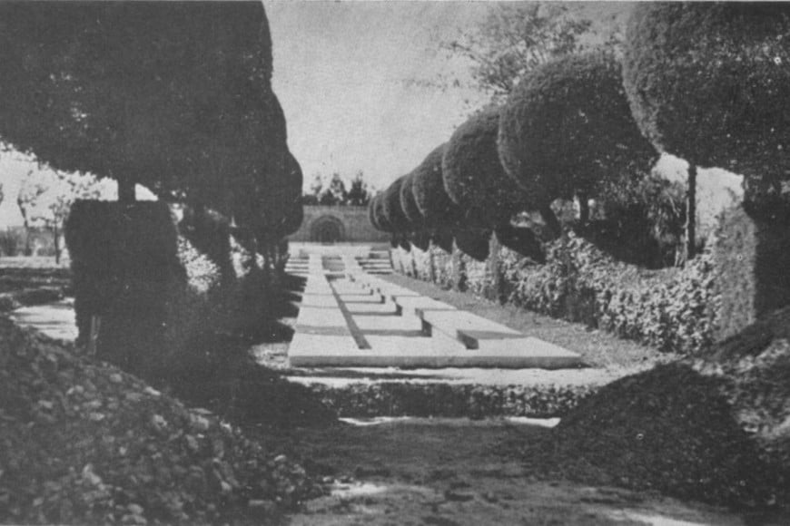 El interior del botánico de Aristóbulo del Valle.
