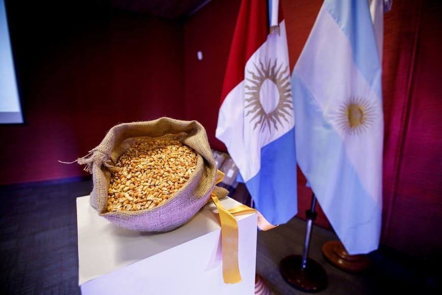 Puntapié inicial para el maíz: Arcor pagó medio millón por la primera partida