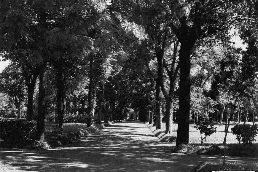 Plantas y árboles para todos los gustos.