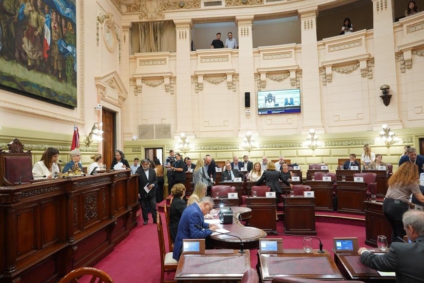 La Cámara de Diputados aprobó el dictamen con 32 votos a favor. Foto: Gentileza Cámara de Diputados
