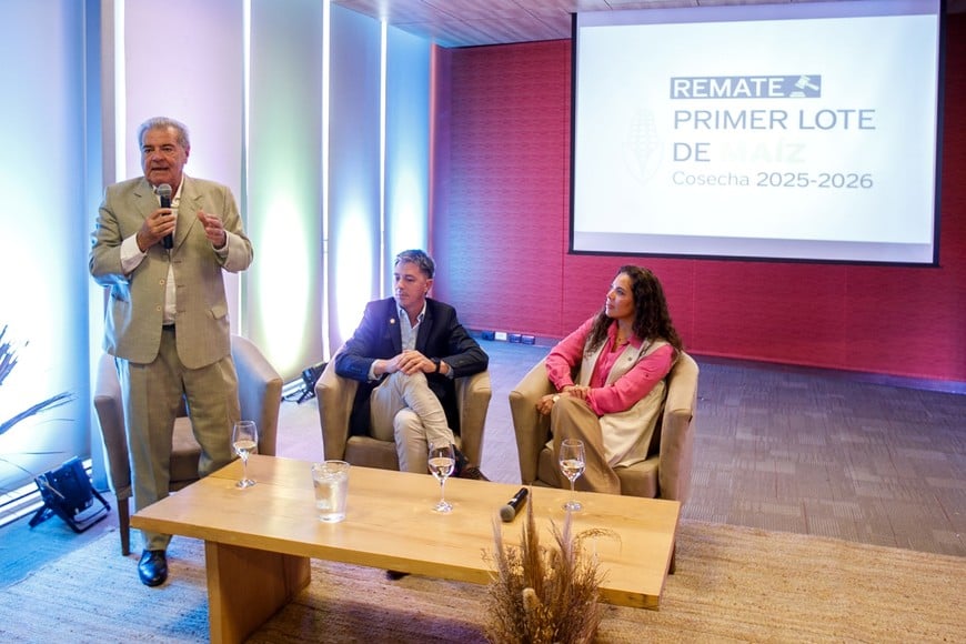 Puntapié inicial para el maíz: Arcor pagó medio millón por la primera partida