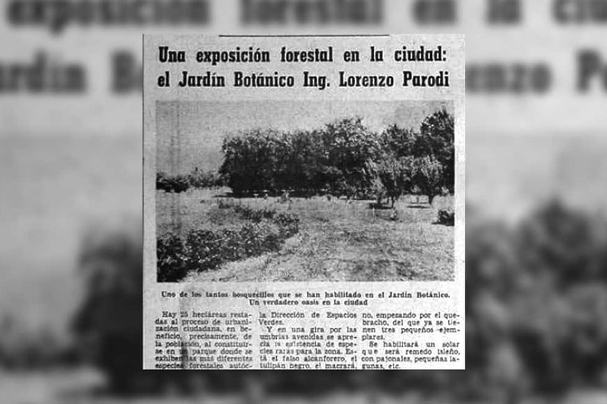 El Litoral, diciembre de 1976.