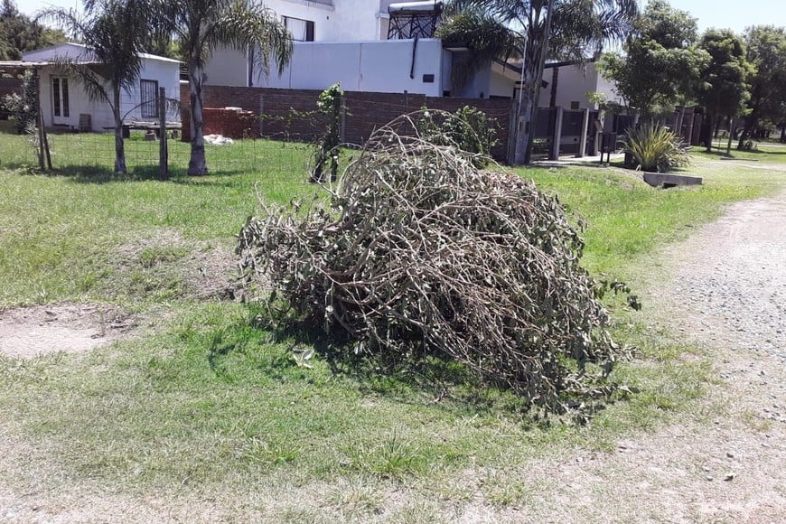 Así lucen las zonas resaltadas por vecinos de Monte Vera.