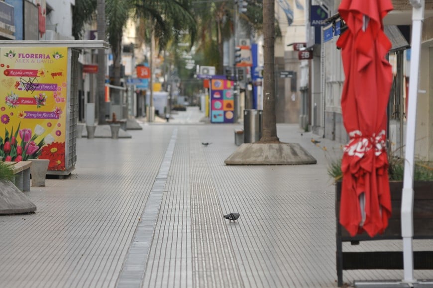 Peatonal San Martín con locales cerrados. Foto: Eduardo Edmundo Seval
