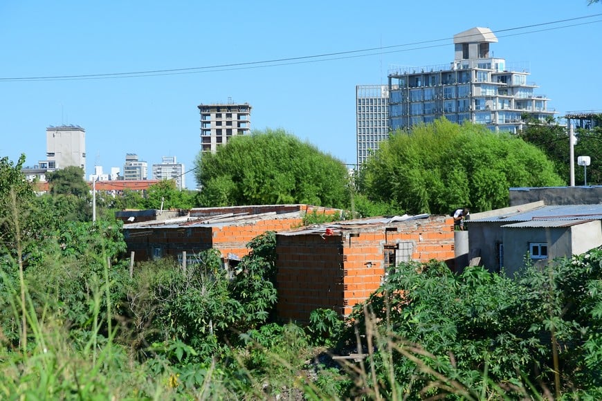 De material... Flavio Raina.