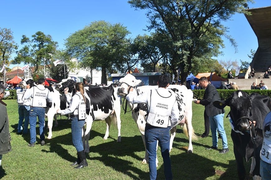 TodoLáctea 2026: Un jurado de élite internacional para la pista de San Francisco