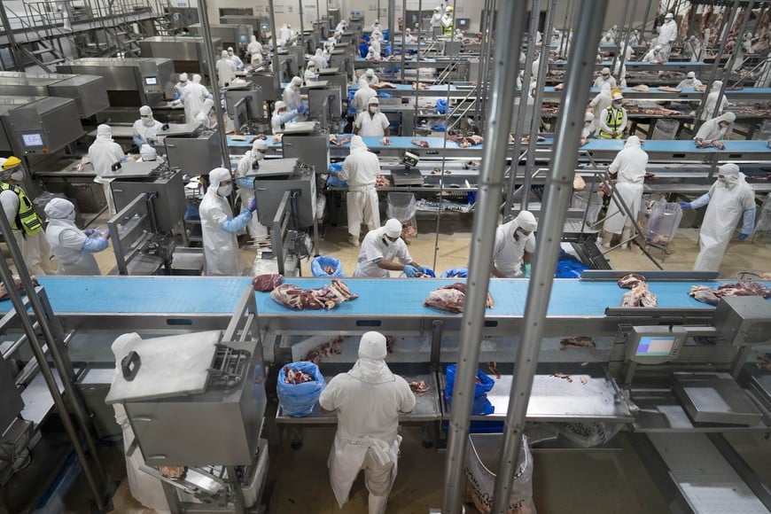 (201020) -- LA PLATA, 20 octubre, 2020 (Xinhua) -- Imagen del 19 de octubre de 2020 de trabajadores laborando en la planta de corte del frigorífico Gorina, en la ciudad de La Plata, Argentina. El ministro argentino de Agricultura, Ganadería y Pesca, Luis Basterra, dijo que la participación del país en la tercera Exposición Internacional de Importaciones de China (CIIE, en inglés) . (Xinhua/Martín Zabala) (mz) (ra) (rtg) (dp)   carnes carne exportacion exportaciones