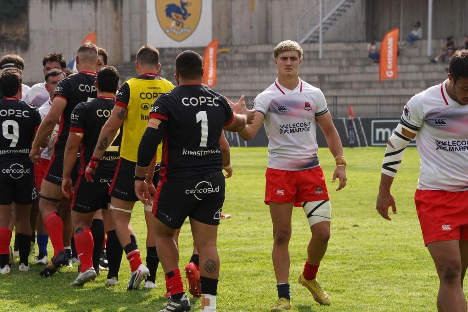 Capibaras XV-Selknam | Super Rugby Americas Fecha 5 | CHILE. Foto: Fernando Nicola