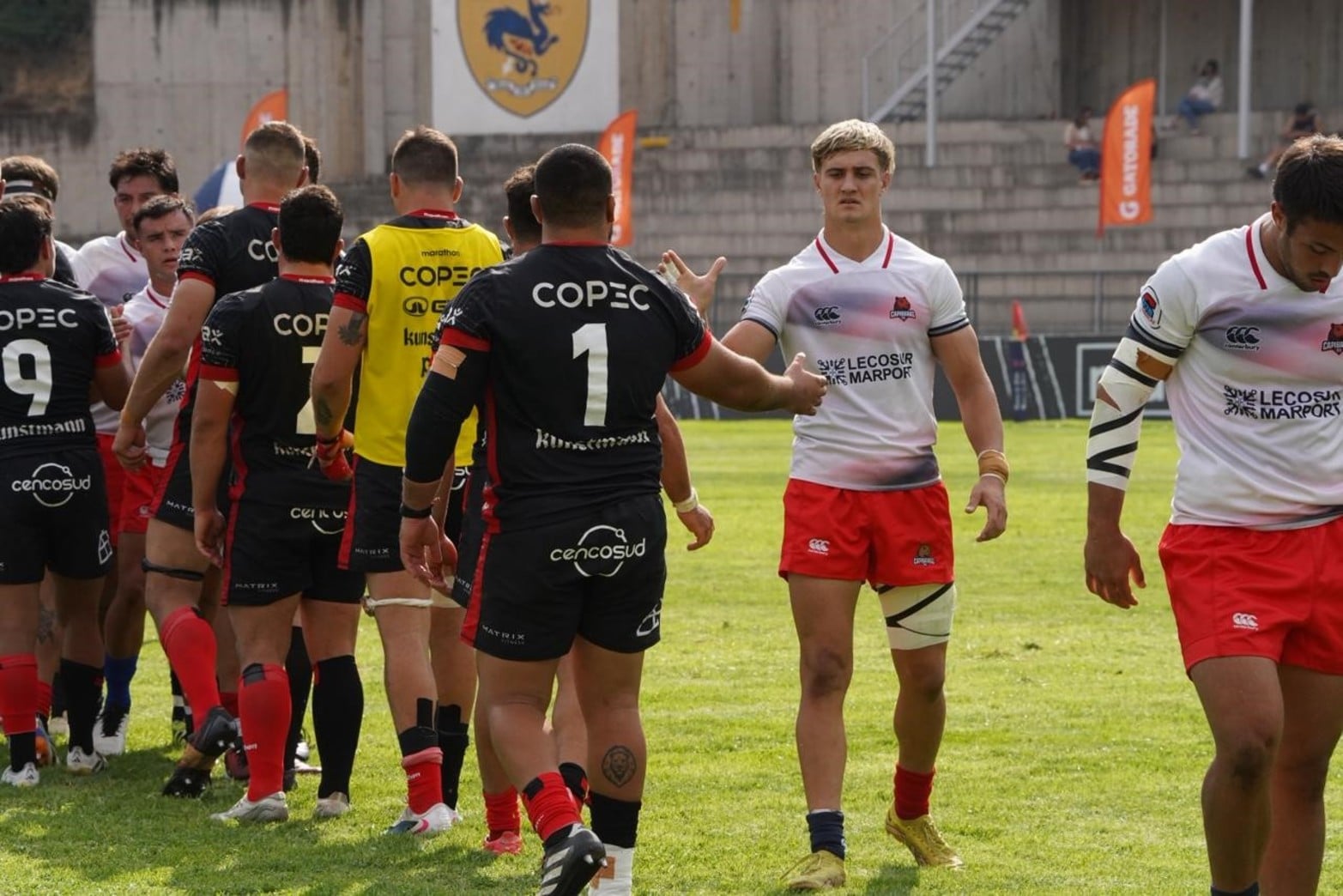 Capibaras XV-Selknam | Super Rugby Americas Fecha 5 | CHILE. Foto: Fernando Nicola