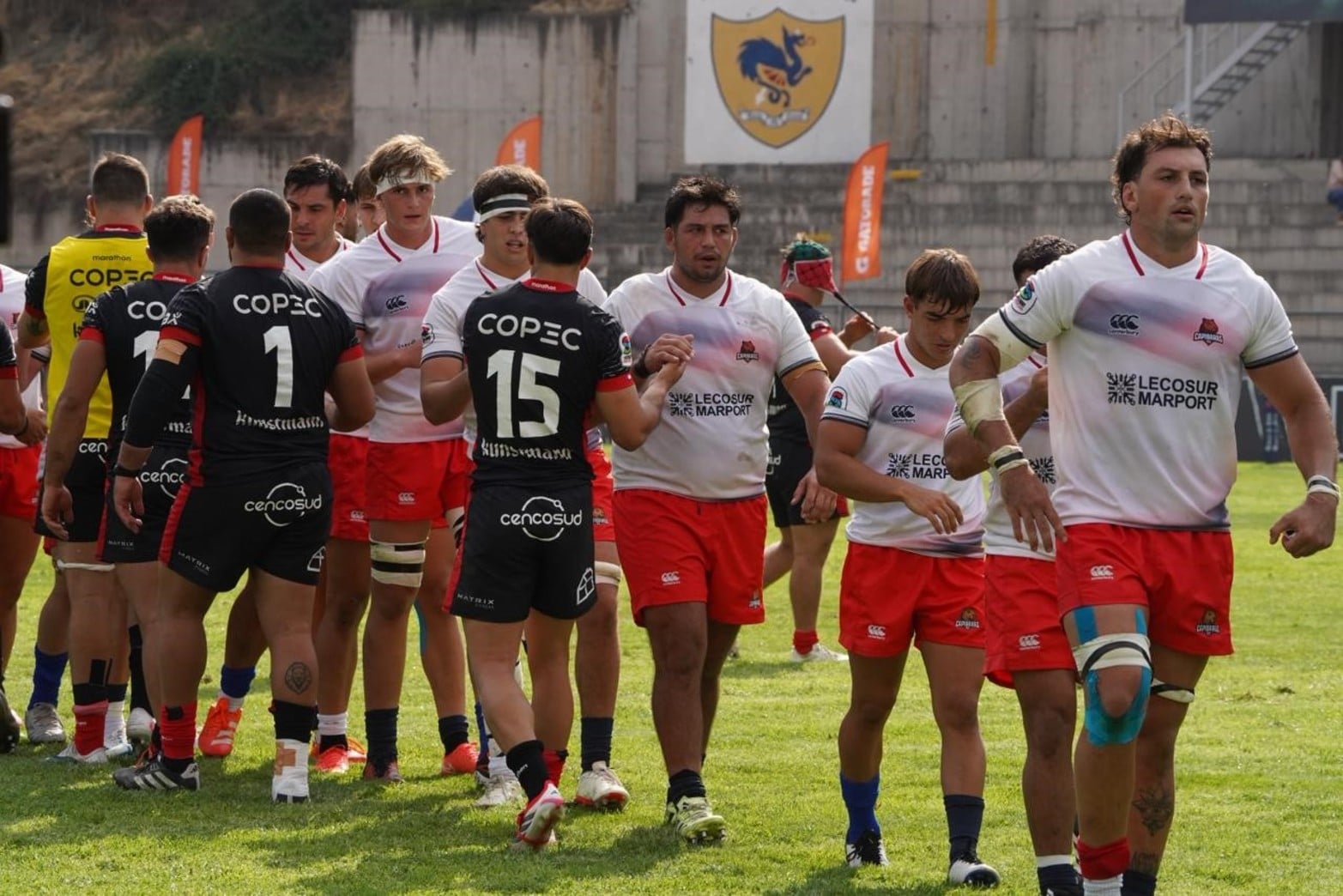 Capibaras XV-Selknam | Super Rugby Americas Fecha 5 | CHILE. Foto: Fernando Nicola