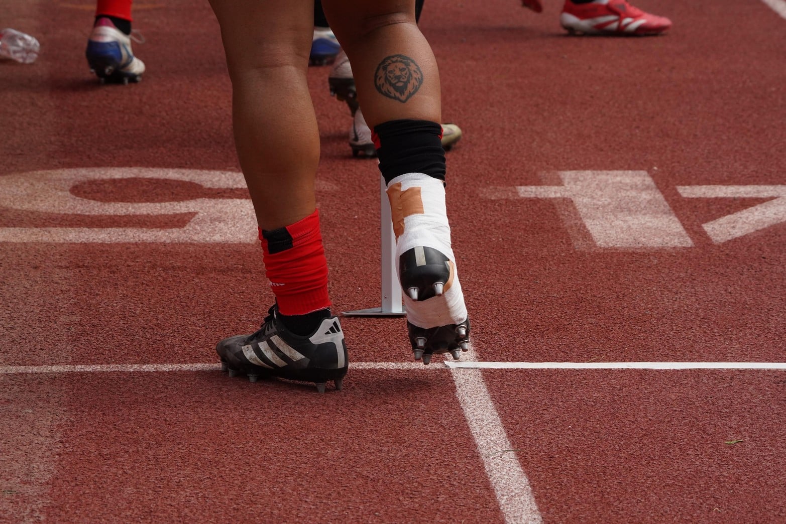 Capibaras XV-Selknam | Super Rugby Americas Fecha 5 | CHILE.