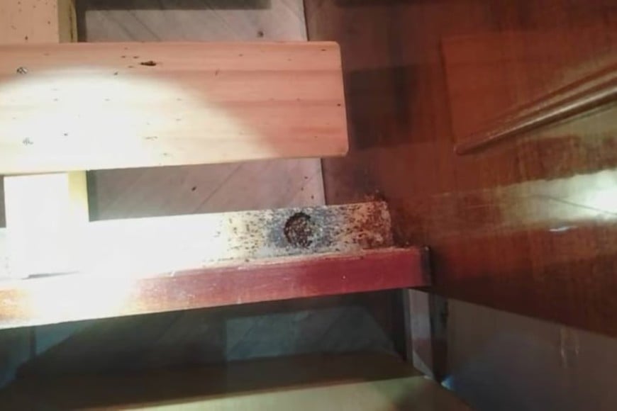 Se realizó una inspección en la cual se constató la existencia de plagas de chinches.