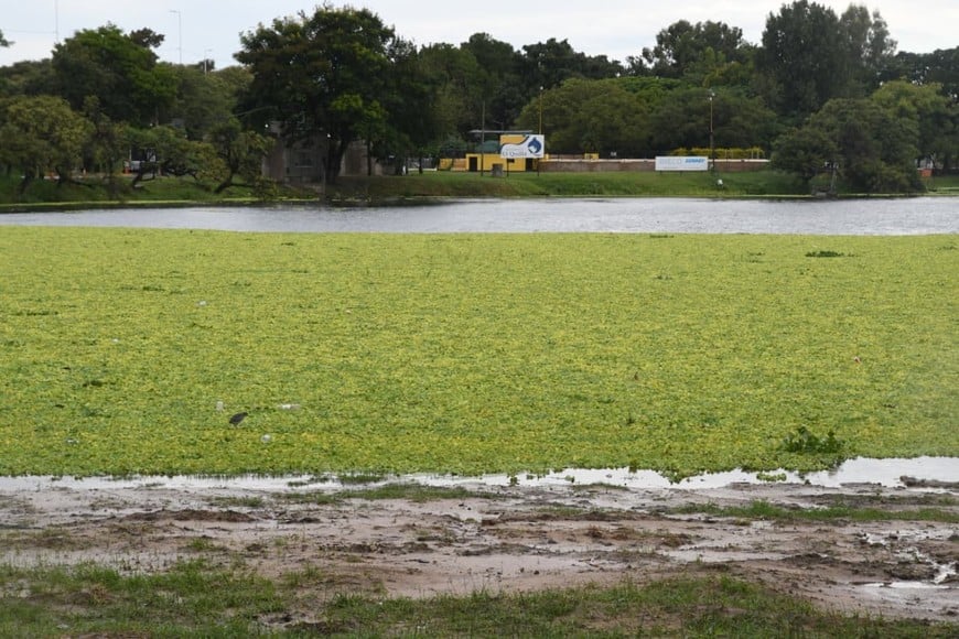 Repollitos frente al Náutico Sur. Flavio Raina.