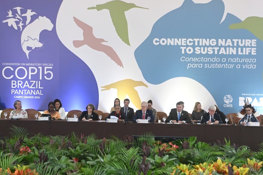 (260322) -- MATO GROSSO DO SUL, 22 marzo, 2026 -- La ministra de Medio Ambiente y Cambio Climático brasileña, Marina Silva (c), habla durante una reunión de alto nivel previo a la 15ª Reunión de la Conferencia de las Partes (COP15) de la Convención sobre la Conservación de las Especies Migratorias de Animales Silvestres, uno de los principales foros multilaterales para la protección de la biodiversidad, en Campo Grande, en Mato Grosso do Sul, Brasil, el 22 de marzo de 2026. (Xinhua/Lucio Tavora) (lt) (rtg) (da)