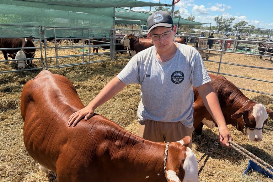 Danilo Córdoba, alumno de sexto año de la Escuela Agrotécnica N° 8205 , junto a los ejemplares Braford de Cabaña El Amargo
