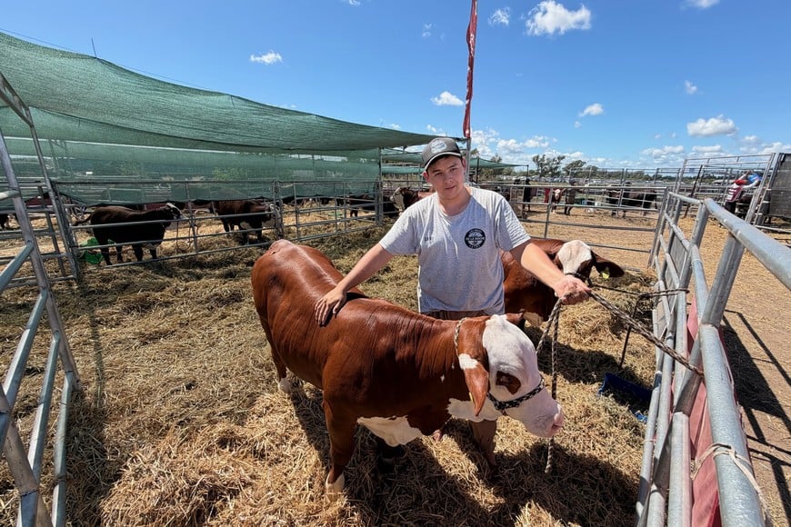 Danilo Córdoba, alumno de sexto año de la Escuela Agrotécnica N° 8205 , junto a los ejemplares Braford de Cabaña El Amargo