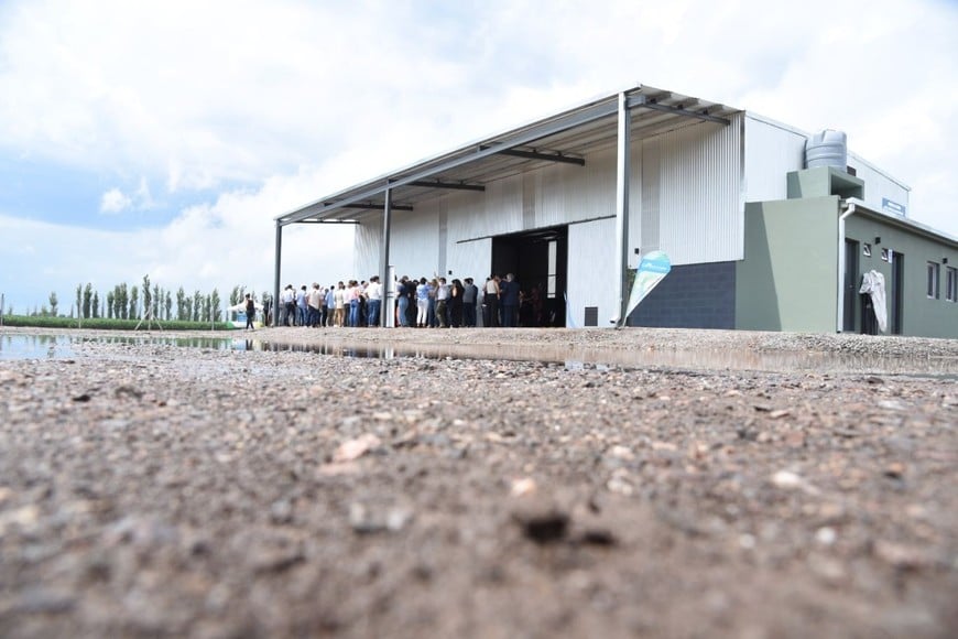 CAT nació con un objetivo claro: facilitar a los productores una alternativa segura y accesible para la correcta disposición de envases vacíos, contribuyendo al cuidado del ambiente y promoviendo prácticas alineadas con una agricultura sustentable.