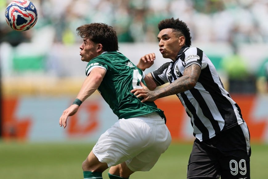 Soccer Football - FIFA Club World Cup - Round of 16 - Palmeiras v Botafogo - Lincoln Financial Field, Philadelphia, Pennsylvania, U.S. - June 28, 2025
Palmeiras' Agustin Giay in action with Botafogo's Igor Jesus IMAGN IMAGES via Reuters/Caean Couto