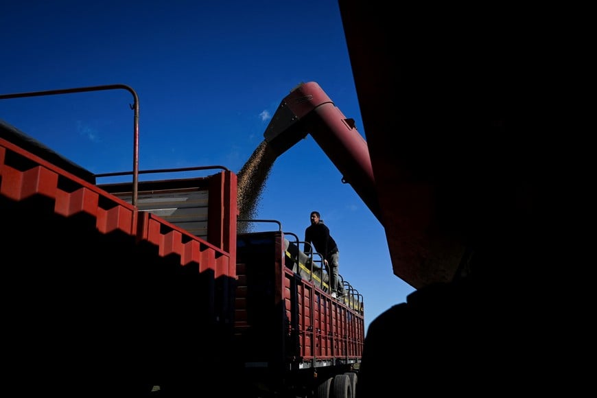 Soybeans are loaded on a truck after being harvested, in San Andres de Giles, on the outskirts of Buenos Aires, Argentina, May 12, 2025. REUTERS/Martin Cossarini
