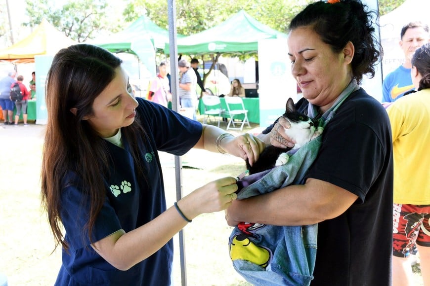IMUSA brinda atención veterinaria gratuita y vacunación a mascotas en el barrio.